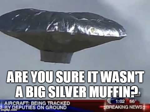 ARE YOU SURE IT WASN'T A BIG SILVER MUFFIN? | image tagged in balloon boy | made w/ Imgflip meme maker