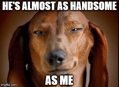 HE'S ALMOST AS HANDSOME AS ME | made w/ Imgflip meme maker