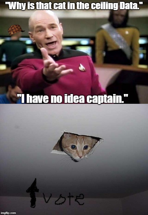 I was bored | "Why is that cat in the ceiling Data."; "I have no idea captain." | image tagged in no upvotes,boredom,cats,star trek the next generation,picard,meh | made w/ Imgflip meme maker