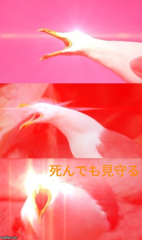 Inhaling Seagull Reply | 死んでも見守る | image tagged in inhaling seagull reply | made w/ Imgflip meme maker