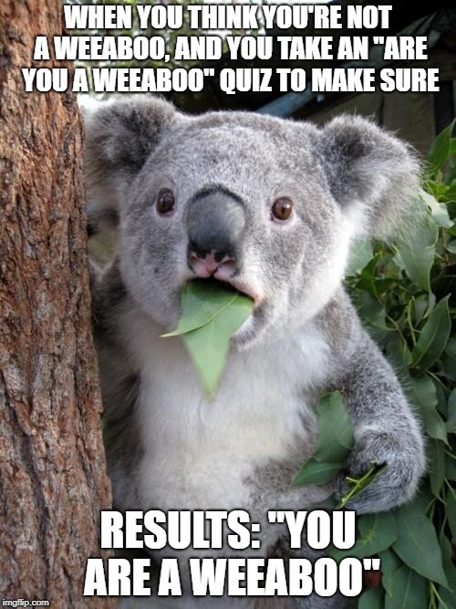 Surprised Koala | WHEN YOU THINK YOU'RE NOT A WEEABOO, AND YOU TAKE AN "ARE YOU A WEEABOO" QUIZ TO MAKE SURE; RESULTS: "YOU ARE A WEEABOO" | image tagged in memes,surprised koala | made w/ Imgflip meme maker