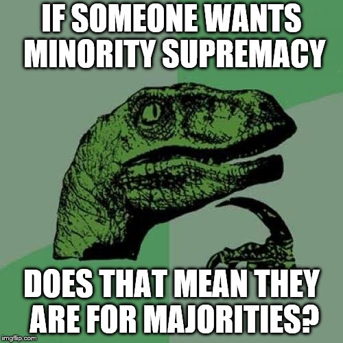 Philosoraptor Meme | IF SOMEONE WANTS MINORITY SUPREMACY; DOES THAT MEAN THEY ARE FOR MAJORITIES? | image tagged in memes,philosoraptor | made w/ Imgflip meme maker