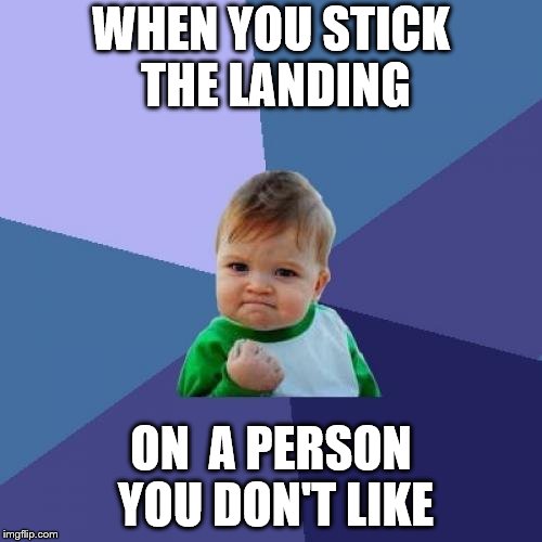 Success Kid Meme | WHEN YOU STICK THE LANDING; ON  A PERSON YOU DON'T LIKE | image tagged in memes,success kid | made w/ Imgflip meme maker