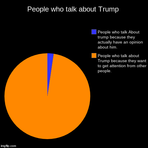 People who talk about Trump | People who talk about Trump because they want to get attention from other people., People who talk About trump | image tagged in funny,pie charts,get a life | made w/ Imgflip chart maker