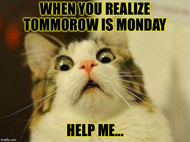 MONDAYS | WHEN YOU REALIZE TOMMOROW IS MONDAY; HELP ME... | image tagged in memes,scared cat | made w/ Imgflip meme maker