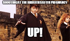 SHOUTING AT THE BREASTIES AFTER PREGNANCY; UP! | image tagged in harry potter,boobs,pregnancy | made w/ Imgflip meme maker
