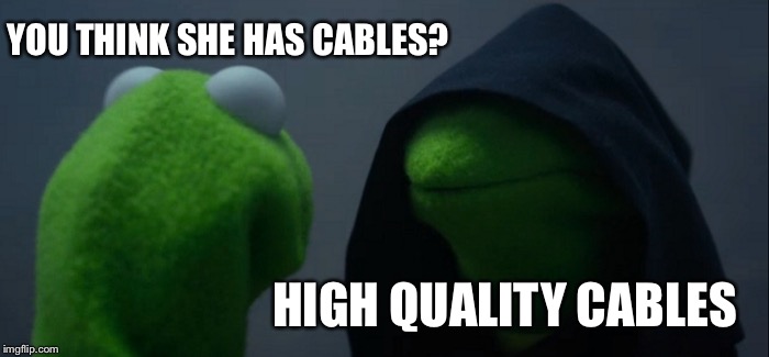 Evil Kermit Meme | YOU THINK SHE HAS CABLES? HIGH QUALITY CABLES | image tagged in memes,evil kermit | made w/ Imgflip meme maker