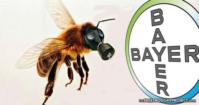 Bayer #1 killer of world bees Blank Meme Template