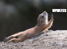 Prairie dog reaching | UPDATES | image tagged in prairie dog reaching | made w/ Imgflip meme maker