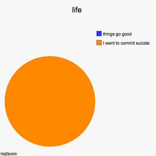 life | I want to commit suicide, things go good | image tagged in funny,pie charts | made w/ Imgflip chart maker