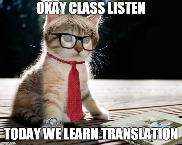 cat teacher | OKAY CLASS LISTEN; TODAY WE LEARN TRANSLATION | image tagged in cat teacher | made w/ Imgflip meme maker