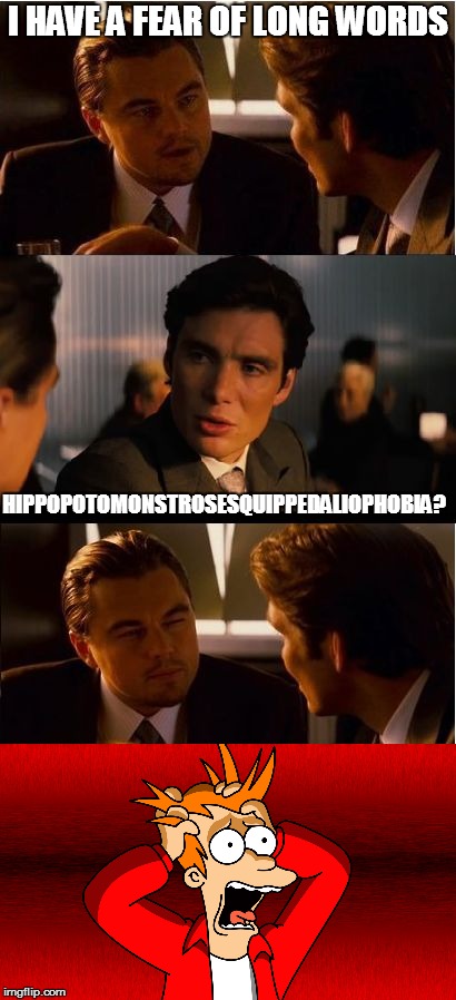 Why, though? XD | I HAVE A FEAR OF LONG WORDS; HIPPOPOTOMONSTROSESQUIPPEDALIOPHOBIA? | image tagged in inception,fry freaking out | made w/ Imgflip meme maker