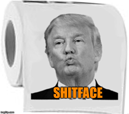 Trump Toilet Paper | SHITFACE | image tagged in trump toilet paper shitface funny | made w/ Imgflip meme maker