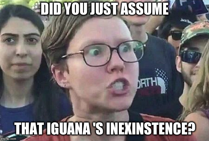 Triggered Liberal | DID YOU JUST ASSUME; THAT IGUANA 'S INEXINSTENCE? | image tagged in triggered liberal | made w/ Imgflip meme maker