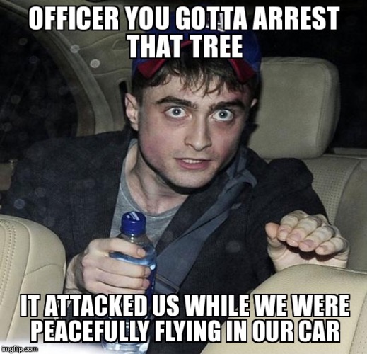 The tree attacked us | image tagged in flying car | made w/ Imgflip meme maker