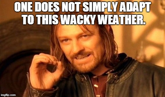 One Does Not Simply Meme | ONE DOES NOT SIMPLY ADAPT TO THIS WACKY WEATHER. | image tagged in memes,one does not simply | made w/ Imgflip meme maker