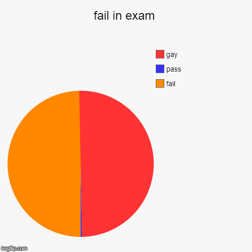 fail in exam | fail, pass, gay | image tagged in funny,pie charts | made w/ Imgflip chart maker