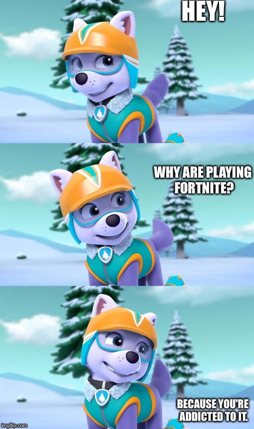 PAW Patrol Bad Pun Everest  | HEY! WHY ARE PLAYING FORTNITE? BECAUSE YOU'RE ADDICTED TO IT. | image tagged in paw patrol bad pun everest | made w/ Imgflip meme maker