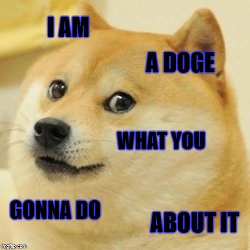 Doge Meme | I AM; A DOGE; WHAT YOU; GONNA DO; ABOUT IT | image tagged in memes,doge | made w/ Imgflip meme maker