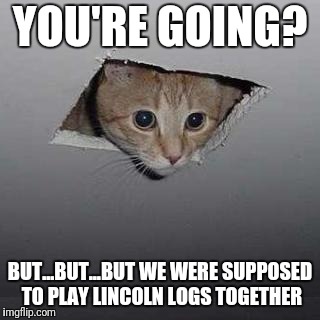 Ceiling Cat | YOU'RE GOING? BUT...BUT...BUT WE WERE SUPPOSED TO PLAY LINCOLN LOGS TOGETHER | image tagged in memes,ceiling cat | made w/ Imgflip meme maker