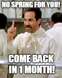 Soup Nazi | NO SPRING FOR YOU! COME BACK IN 1 MONTH! | image tagged in soup nazi | made w/ Imgflip meme maker