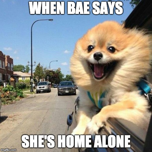 Smiling Pomeranian | WHEN BAE SAYS; SHE'S HOME ALONE | image tagged in smiling pomeranian | made w/ Imgflip meme maker