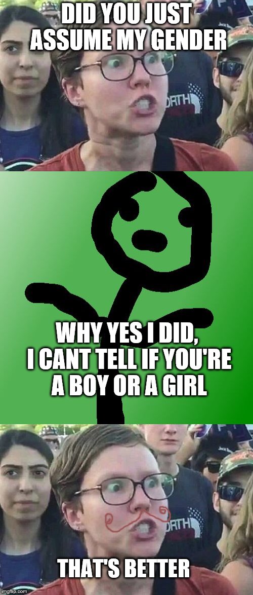 Well, now we know! | DID YOU JUST ASSUME MY GENDER; WHY YES I DID, I CANT TELL IF YOU'RE A BOY OR A GIRL; THAT'S BETTER | image tagged in triggered liberal,moustache,did you just assume my gender | made w/ Imgflip meme maker