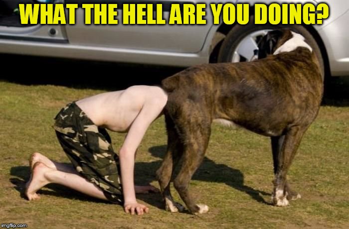 Boxer Butt | WHAT THE HELL ARE YOU DOING? | image tagged in boxer butt | made w/ Imgflip meme maker