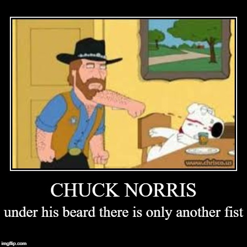 Chuck Norris | image tagged in funny,demotivationals,beard fist,chuck norris,memes | made w/ Imgflip demotivational maker