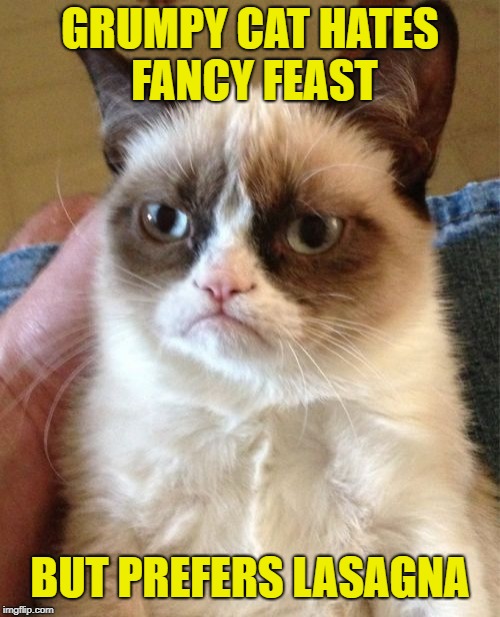 Grumpy Cat Meme | GRUMPY CAT HATES FANCY FEAST; BUT PREFERS LASAGNA | image tagged in memes,grumpy cat | made w/ Imgflip meme maker