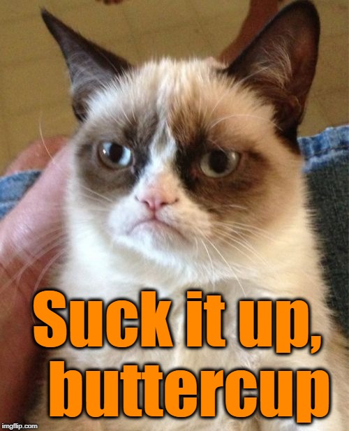 Grumpy Cat Meme | Suck it up,  buttercup | image tagged in memes,grumpy cat | made w/ Imgflip meme maker