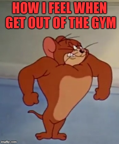 Ripped Mouse | HOW I FEEL WHEN GET OUT OF THE GYM | image tagged in memes | made w/ Imgflip meme maker