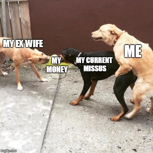 This Is My Life | MY EX WIFE; ME; MY MONEY; MY CURRENT MISSUS | image tagged in this is my life | made w/ Imgflip meme maker
