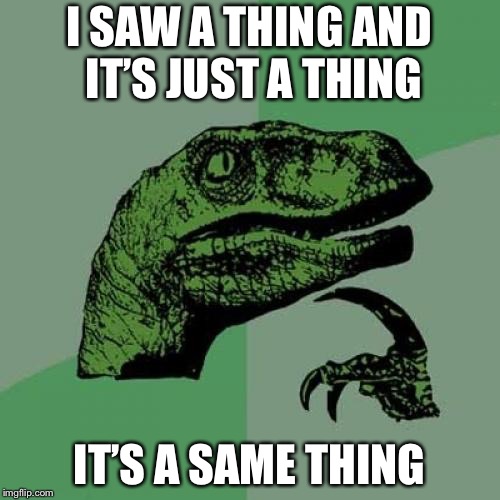 Philosoraptor Meme | I SAW A THING AND IT’S JUST A THING; IT’S A SAME THING | image tagged in memes,philosoraptor | made w/ Imgflip meme maker