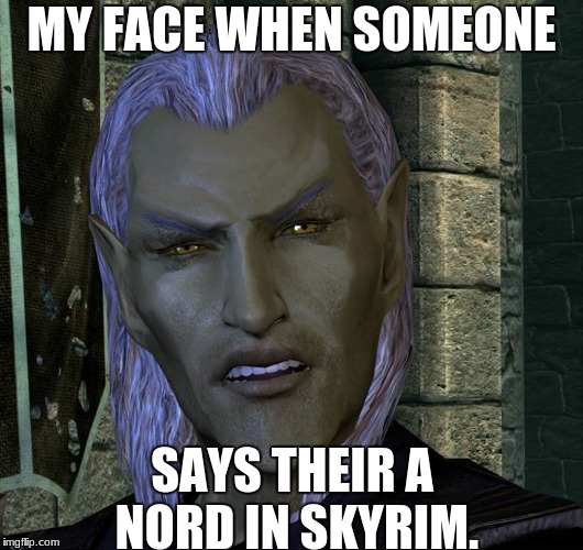 Altmer Confused Skyrim | MY FACE WHEN SOMEONE; SAYS THEIR A NORD IN SKYRIM. | image tagged in altmer confused skyrim | made w/ Imgflip meme maker