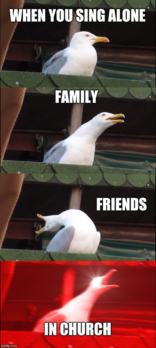 Inhaling Seagull Meme | WHEN YOU SING ALONE; FAMILY; FRIENDS; IN CHURCH | image tagged in memes,inhaling seagull | made w/ Imgflip meme maker