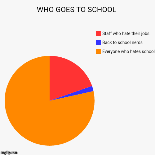 WHO GOES TO SCHOOL | Everyone who hates school, Back to school nerds, Staff who hate their jobs | image tagged in funny,pie charts | made w/ Imgflip chart maker