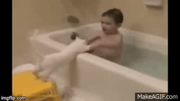 Come Here Kitty! | COME   ON     YOU             WANT    TO     TAKE A BATH. | image tagged in gifs,memes,toddler,bath,cat,not me | made w/ Imgflip video-to-gif maker