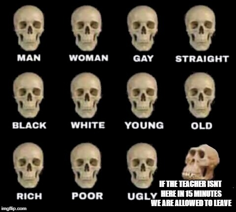 idiot skull | IF THE TEACHER ISNT HERE IN 15 MINUTES WE ARE ALLOWED TO LEAVE | image tagged in idiot skull | made w/ Imgflip meme maker