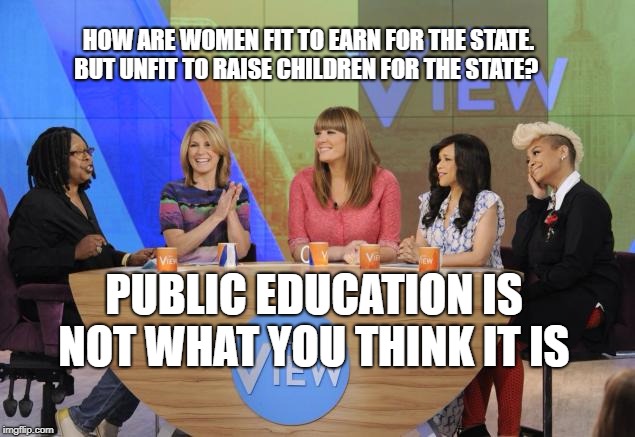The View | HOW ARE WOMEN FIT TO EARN FOR THE STATE. BUT UNFIT TO RAISE CHILDREN FOR THE STATE? PUBLIC EDUCATION IS NOT WHAT YOU THINK IT IS | image tagged in the view | made w/ Imgflip meme maker