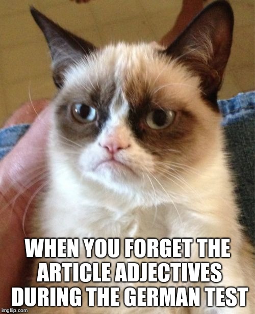 Grumpy Cat Meme | WHEN YOU FORGET THE ARTICLE ADJECTIVES DURING THE GERMAN TEST | image tagged in memes,grumpy cat | made w/ Imgflip meme maker