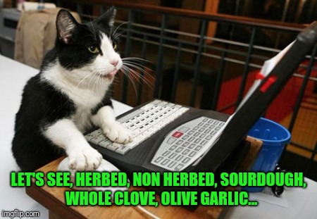 Fact Cat | LET'S SEE, HERBED, NON HERBED, SOURDOUGH,  WHOLE CLOVE, OLIVE GARLIC... | image tagged in fact cat | made w/ Imgflip meme maker