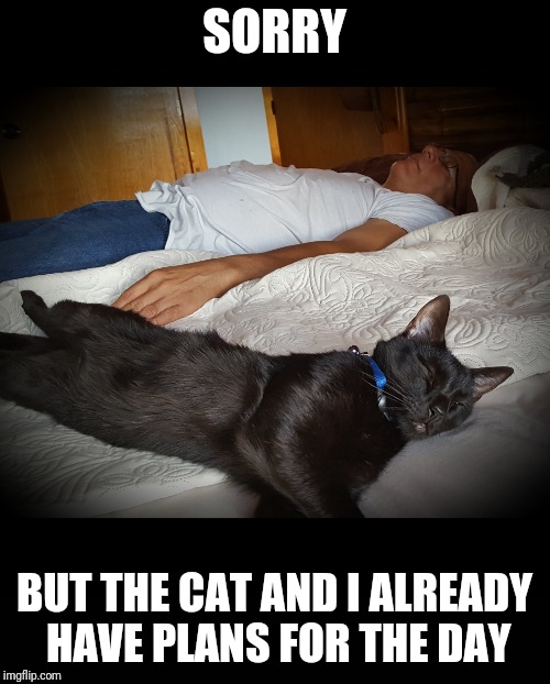 SORRY; BUT THE CAT AND I ALREADY HAVE PLANS FOR THE DAY | made w/ Imgflip meme maker