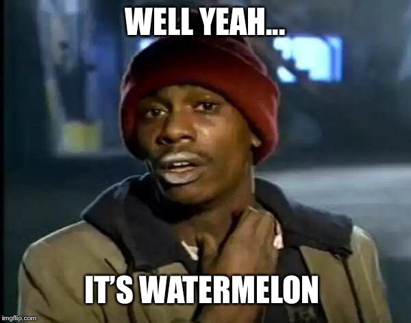 Y'all Got Any More Of That Meme | WELL YEAH... IT’S WATERMELON | image tagged in memes,y'all got any more of that | made w/ Imgflip meme maker