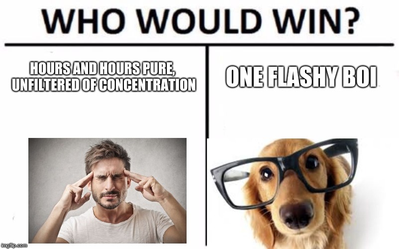 Who Would Win? Meme | HOURS AND HOURS PURE, UNFILTERED OF CONCENTRATION; ONE FLASHY BOI | image tagged in memes,who would win | made w/ Imgflip meme maker