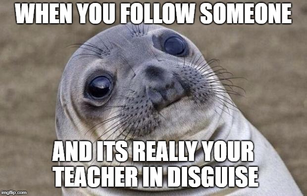 Awkward Moment Sealion | WHEN YOU FOLLOW SOMEONE; AND ITS REALLY YOUR TEACHER IN DISGUISE | image tagged in memes,awkward moment sealion | made w/ Imgflip meme maker