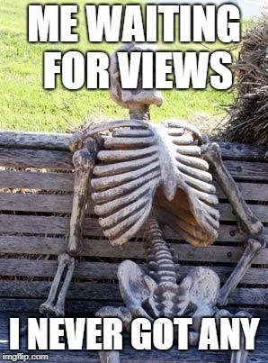 Waiting Skeleton Meme | ME WAITING FOR VIEWS; I NEVER GOT ANY | image tagged in memes,waiting skeleton | made w/ Imgflip meme maker