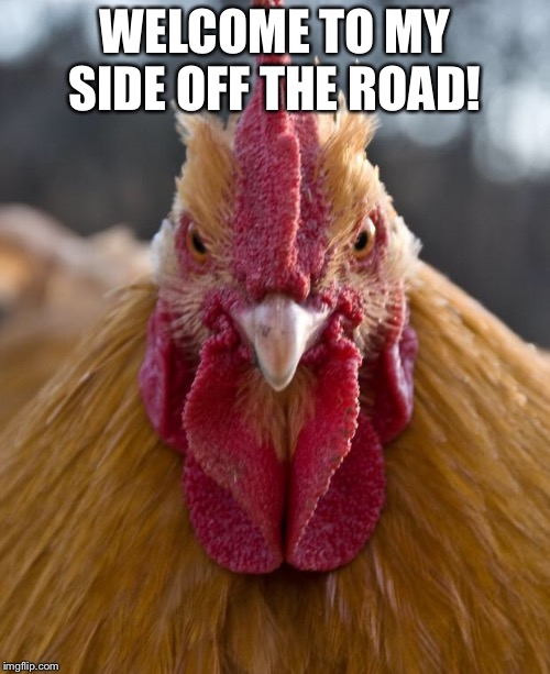 Angry Chicken | WELCOME TO MY SIDE OFF THE ROAD! | image tagged in angry chicken | made w/ Imgflip meme maker