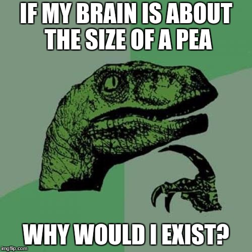 Philosoraptor Meme | IF MY BRAIN IS ABOUT THE SIZE OF A PEA; WHY WOULD I EXIST? | image tagged in memes,philosoraptor | made w/ Imgflip meme maker