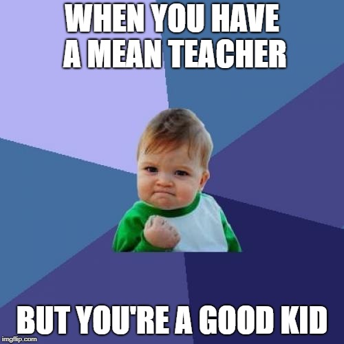Success Kid Meme | WHEN YOU HAVE A MEAN TEACHER; BUT YOU'RE A GOOD KID | image tagged in memes,success kid | made w/ Imgflip meme maker